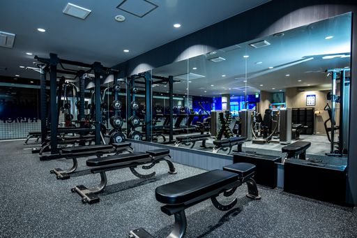 LifeFit 石橋阪大前店 施設画像3